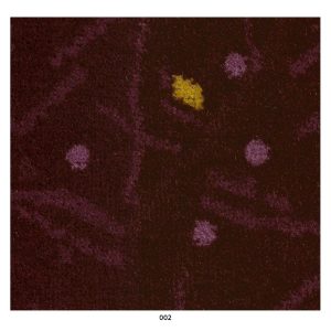 Moquete Autocarro LTMQ 002 | Veludos para Estofos, Moquete Autocarro | Aeronáutica, Automóveis Clássicos, Automóvel, Ferroviária, Náutica | A CarStuff - Tudo para Estofos e Estofadores é lider nacional no fornecimento de peles, tecidos, napas, lonas, capotas, alcatifas, ferramentas e tudo para estofos em automóveis, clássicos, náutica, ferroviária, aeronáutica e decoração.