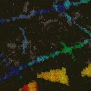 Moquete Autocarro LTMQ 015 | Veludos para Estofos, Moquete Autocarro | Aeronáutica, Automóveis Clássicos, Automóvel, Ferroviária, Náutica | A CarStuff - Tudo para Estofos e Estofadores é lider nacional no fornecimento de peles, tecidos, napas, lonas, capotas, alcatifas, ferramentas e tudo para estofos em automóveis, clássicos, náutica, ferroviária, aeronáutica e decoração.