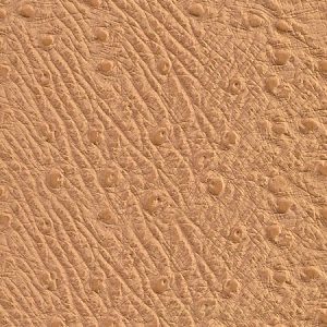 Baby Ostrich | Napas para Estofos | Automóvel | A CarStuff - Tudo para Estofos e Estofadores é lider nacional no fornecimento de peles, tecidos, napas, lonas, capotas, alcatifas, ferramentas e tudo para estofos em automóveis, clássicos, náutica, ferroviária, aeronáutica e decoração.